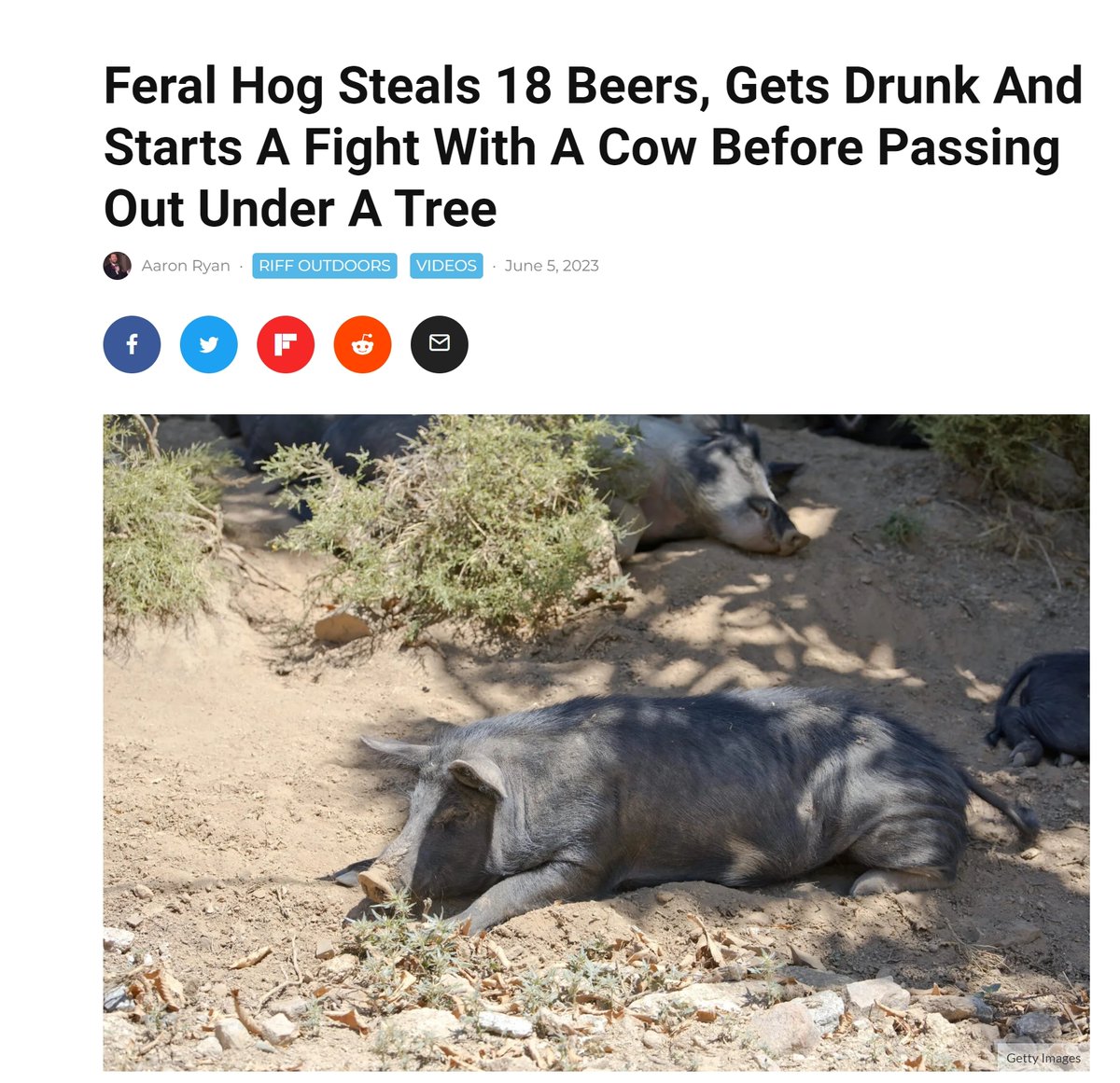 From 1 to 10 how much does this sound like a loony tunes sketch?