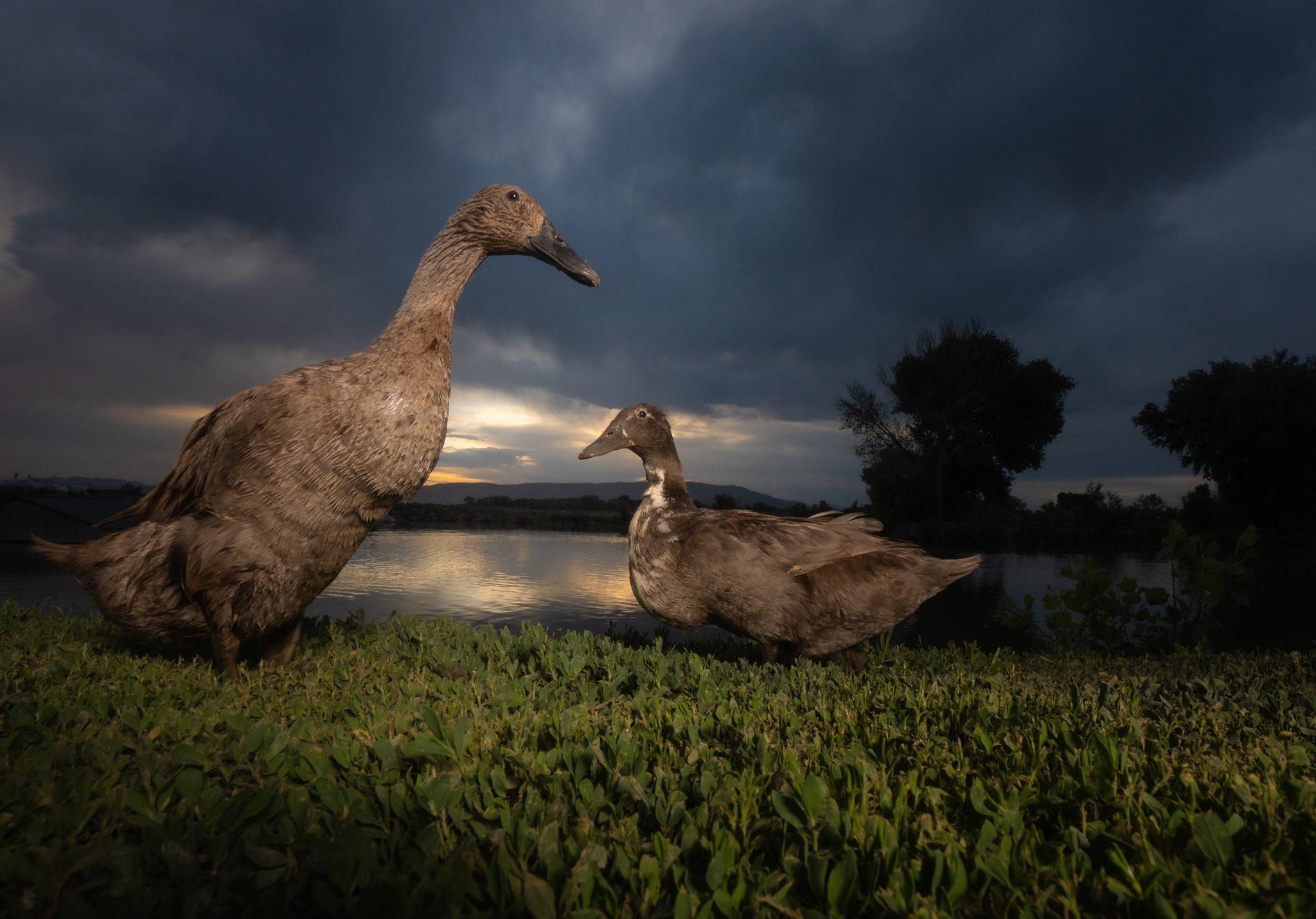 Giovanna Génesis (giovanna_genesi) / Twitter