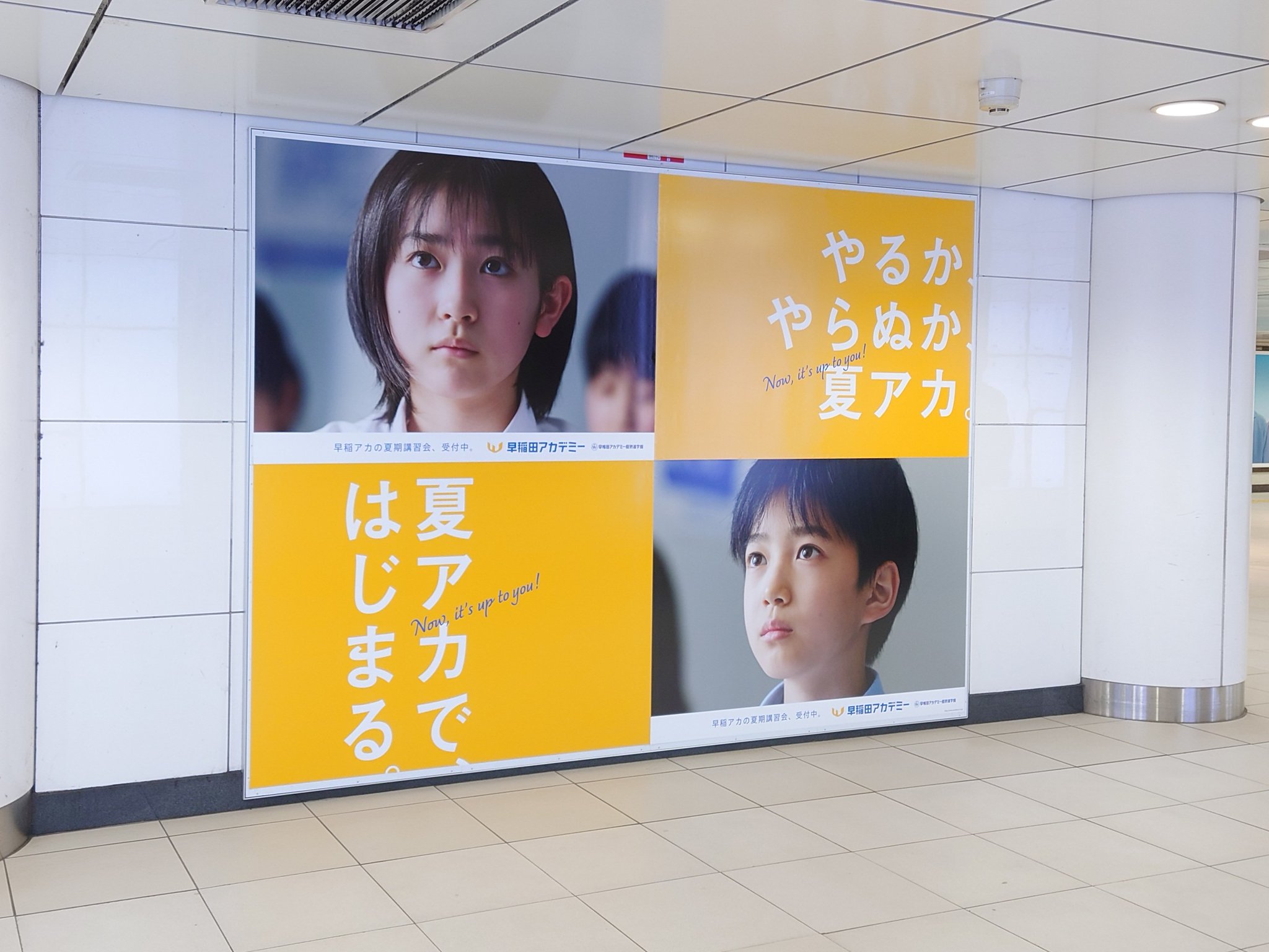 早稲田アカデミー早稲田中学日曜講座前期4-6月 NN志望校別コース 小6 | オプションコース・講座 | 中学受験の