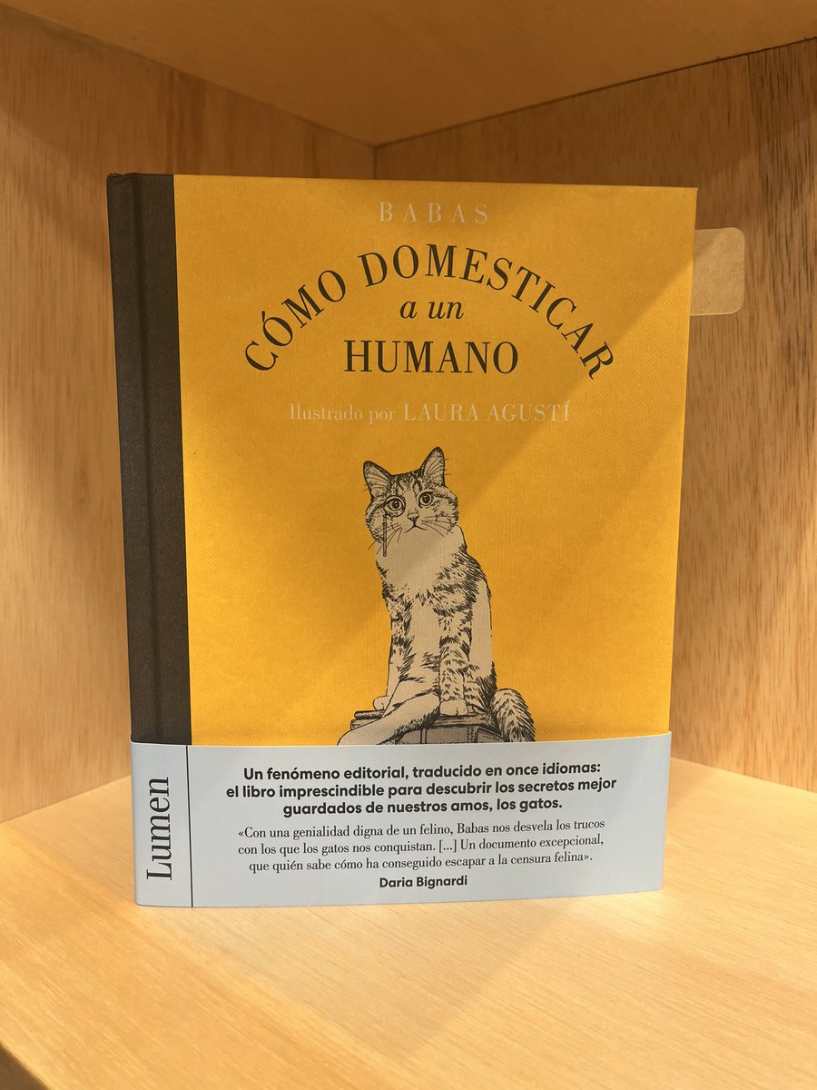 Damas y caballeros, señoras y señores, les presento, algunas de las novedades de Bookish 🎉

Para los que aman las historias que llegan al ❤️ tenemos El viento conoce mi nombre y Mis días en la librería Morisaki 1/3