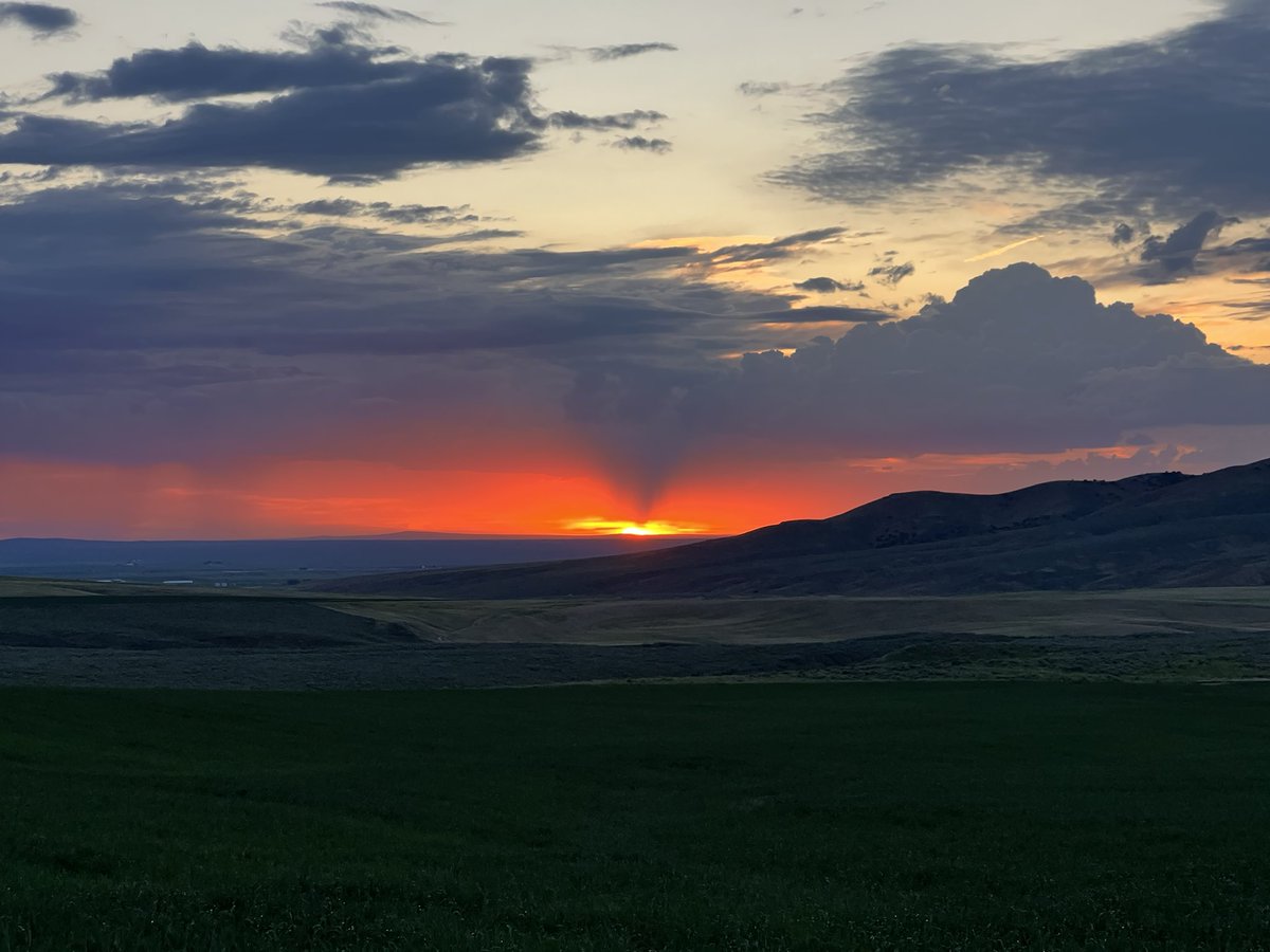 lucaspratling's tweet image. Good night