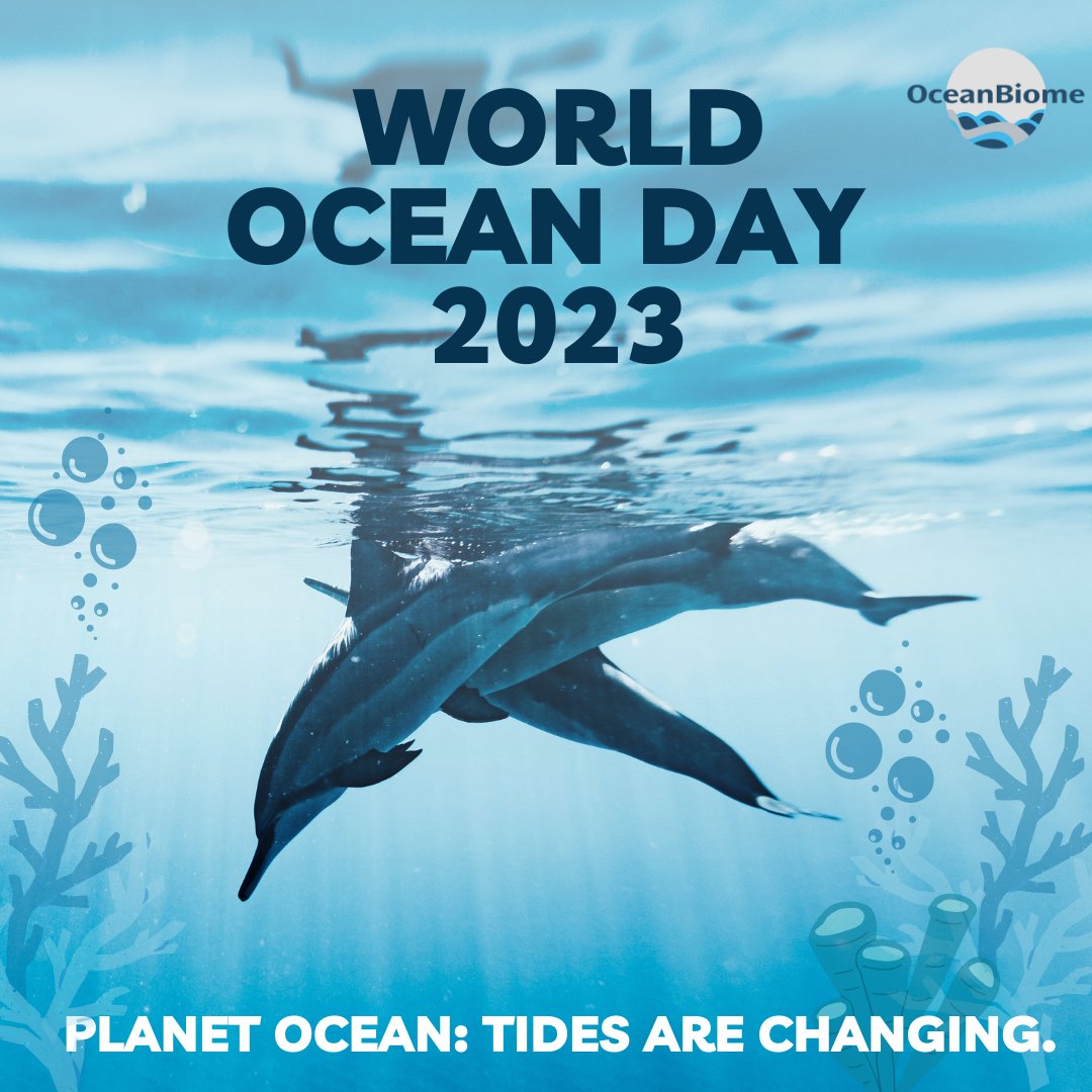 BiomeOcean's tweet photo. 🌊"Happy World Ocean Day! Let's unite to protect and restore the health of our oceans for a sustainable future.💙"
#WorldOceanDay #Ocean #Conservation #OceanBiome #TidesAreChanging https://t.co/bMa0GeflGj
