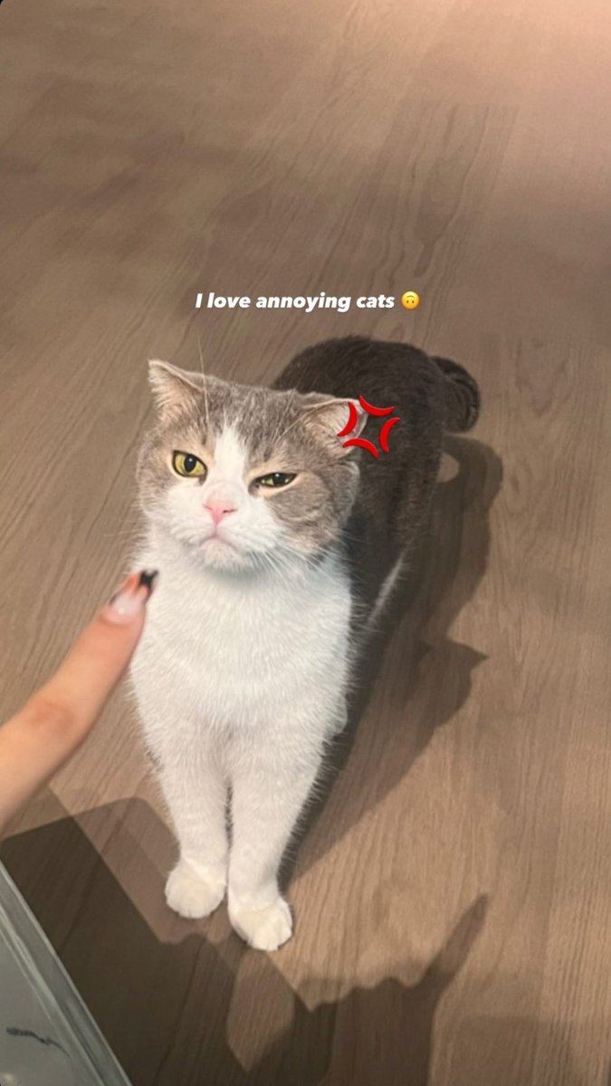 วันที่อารมณ์ผม อาจไม่ดีเหมือนน่าตา🥹😁

#LISA #LALISA #MONEY