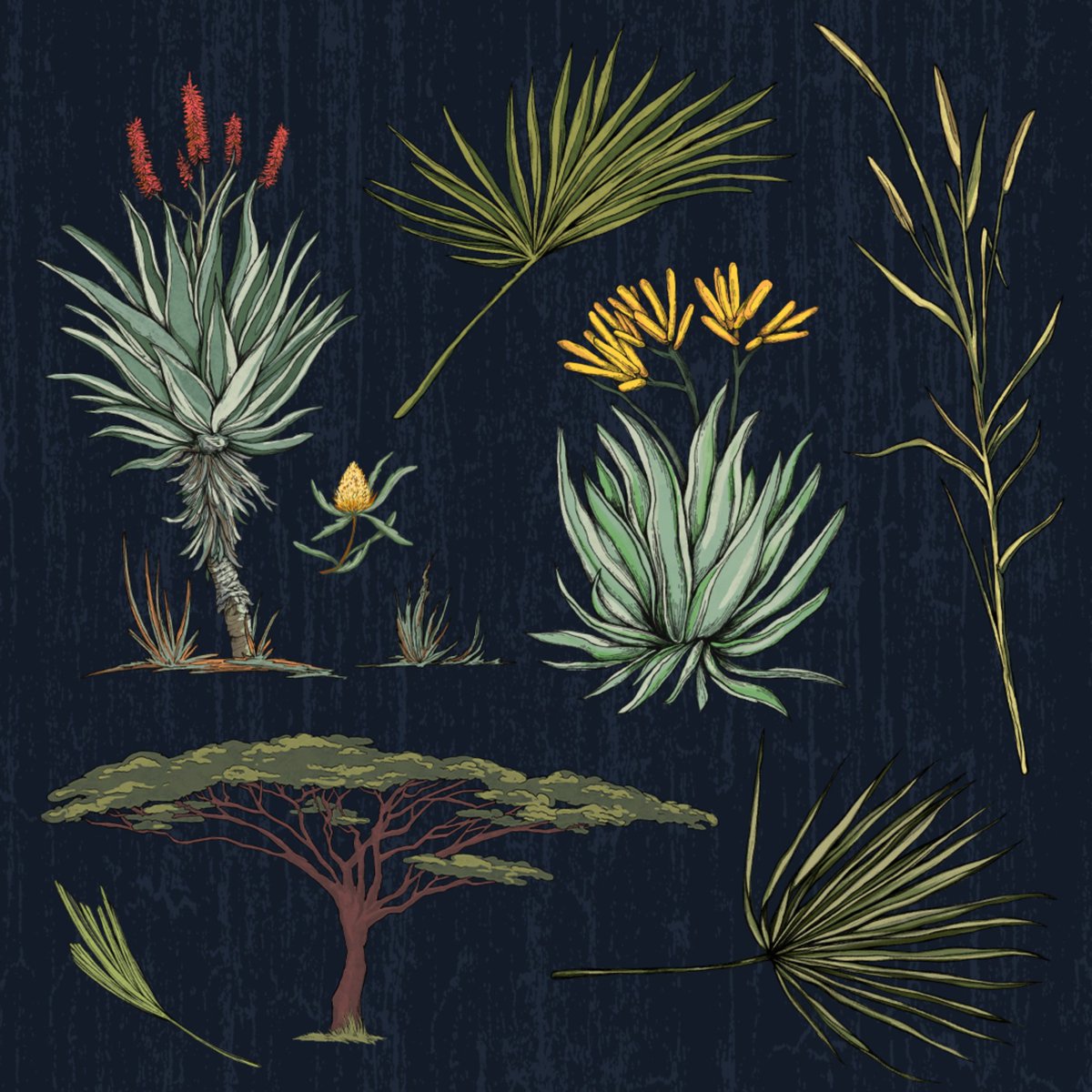 BleubugDesign's tweet photo. 'Speed of the Savanna' print illustration for the @rsvlts x @smithsonianzoo collection 🐆

#rsvlts #smithsonian #smithsoniannationalzoo  #cheetah #illustration #scientificillustration #biologicalillustration #patterndesign  #patterns  #bleubugdesign https://t.co/bjo9iBHdB7