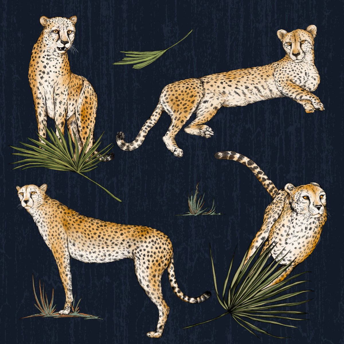 BleubugDesign's tweet photo. 'Speed of the Savanna' print illustration for the @rsvlts x @smithsonianzoo collection 🐆

#rsvlts #smithsonian #smithsoniannationalzoo  #cheetah #illustration #scientificillustration #biologicalillustration #patterndesign  #patterns  #bleubugdesign https://t.co/bjo9iBHdB7