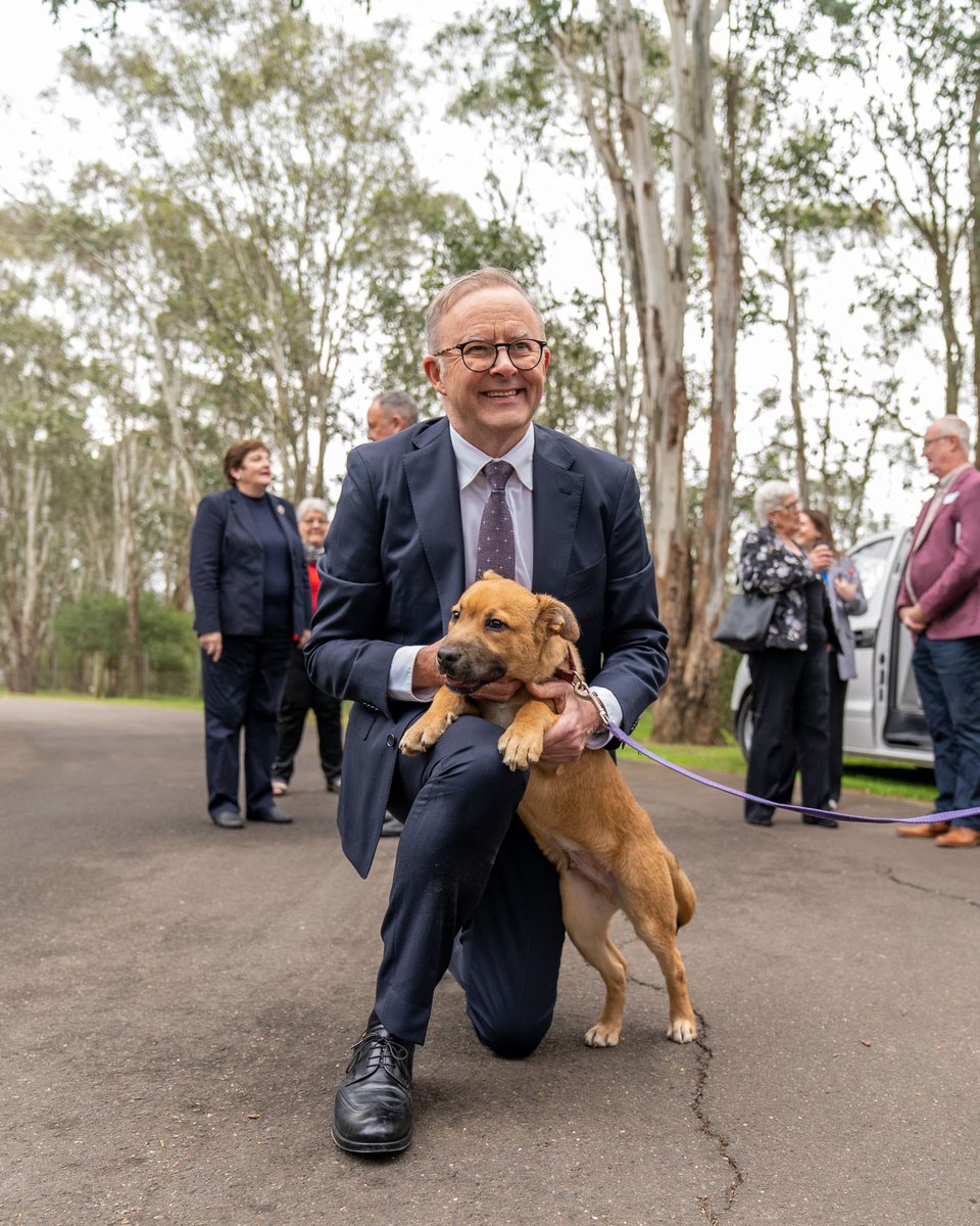Anthony Albanese on Twitter "Sorry Toto 🐶 Made some friends while