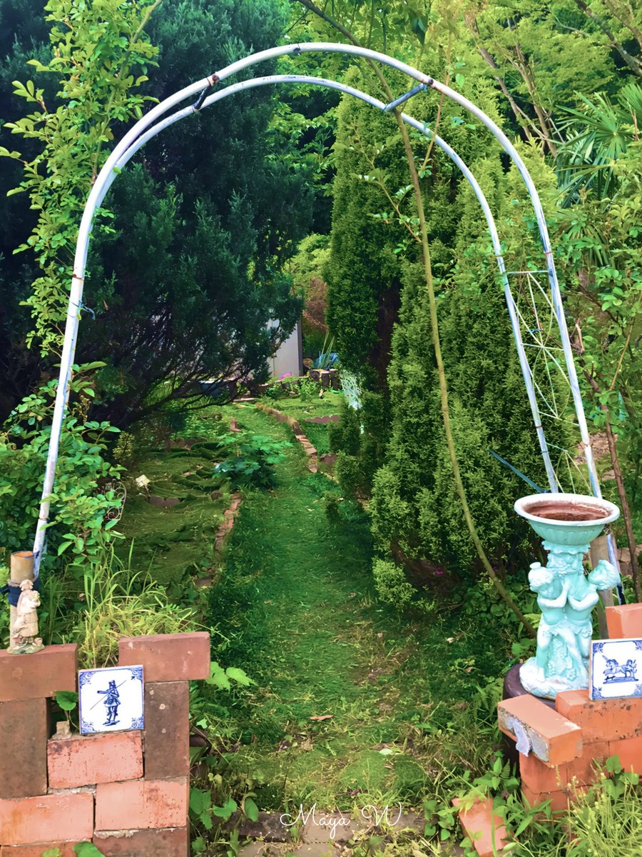 MayaW_S2_'s tweet image. 小鳥のさえずりを

聞きながら

読書の

つづき

#readbook 
#hermannhesse