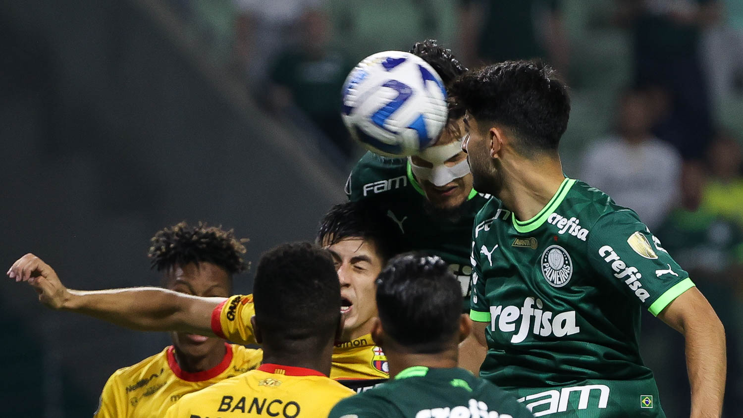 Doentes por Futebol - Só segue ☝🏼️🐷 📸 @cesar_greco, @palmeiras