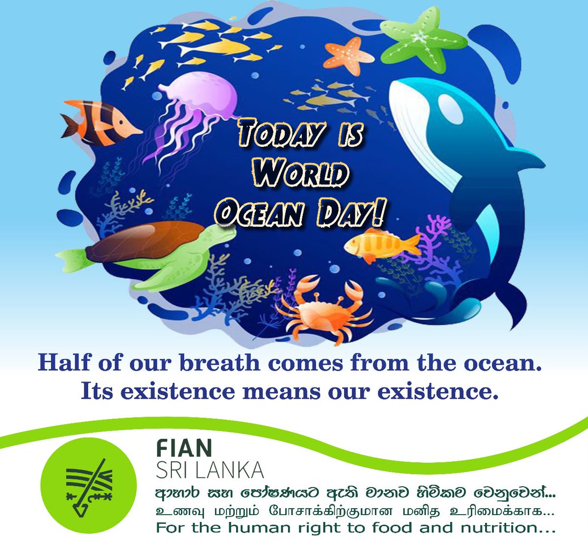 #orcas #oceanlovers #savethesharks #oceanplastic #marinedebris #oceancreatures #protecttheocean #saveouroceans #worldoceansday #protectouroceans #fian #fianinternational #fiansrilanka #lka