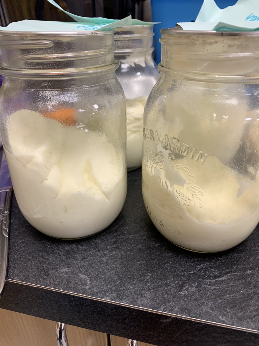 MissMcRae's tweet photo. What better way to learn about life in the past than by making homemade biscuits and butter? Just the way grandma makes it! 😋🧈 https://t.co/TzNvQr7C92