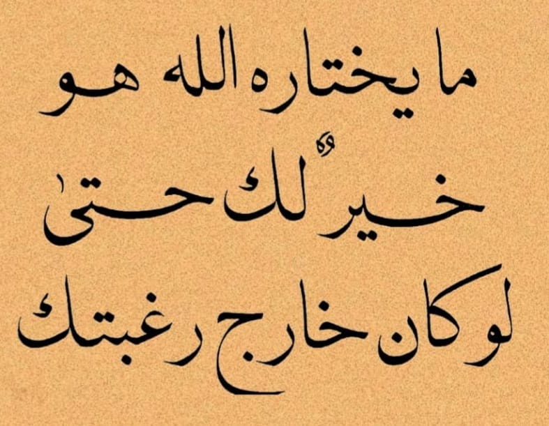 MohamAssaggaf's tweet photo. @MohamAssaggaf https://t.co/aZ49ecp9nk