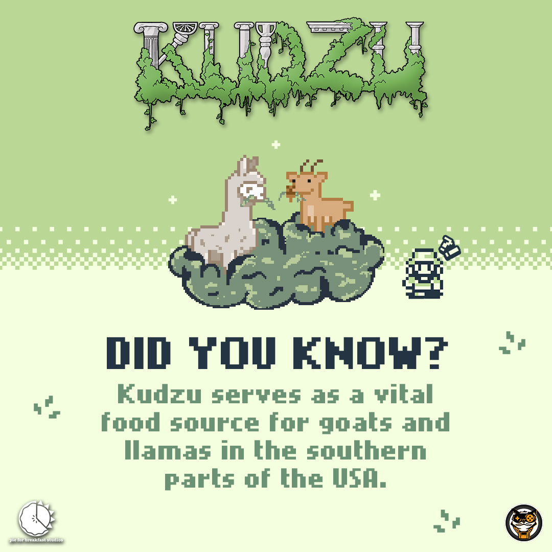 Fun fact: #Kudzu isn't all bad! It's a vital food source for goats and llamas in the southern USA. 🐐🦙🌿 #TriviaThursday

Check out the game on #Kickstarter: bit.ly/3OEKTfu
@Totter87 @PFBStudios @WeAre8BitLegit