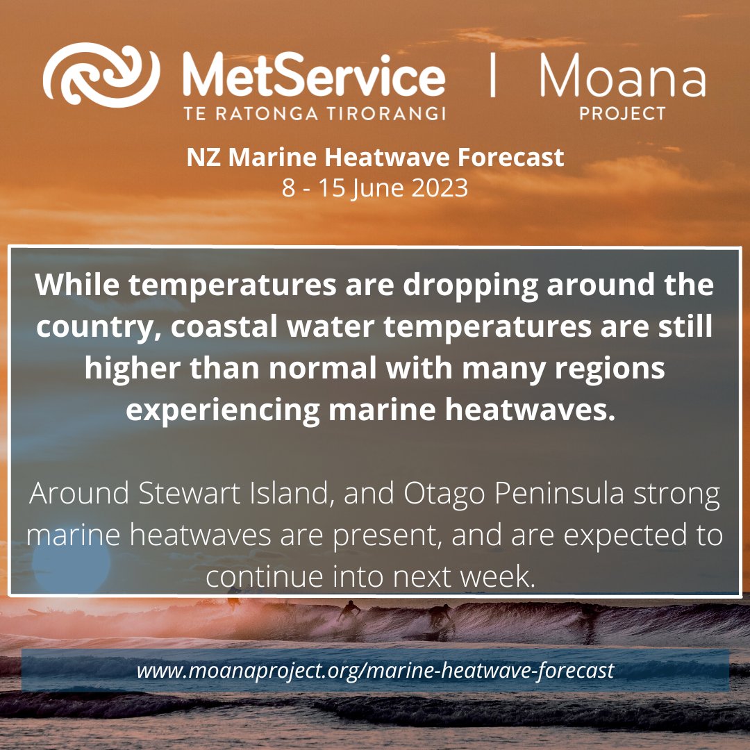 Many regions are expecting strong and moderate #marineheatwaves, with coastal water temperatures warmer than normal for this time of year.

Find out what is happening in your region at the #MoanaProject's #marineheatwave forecast here: moanaproject.org/marine-heatwav…