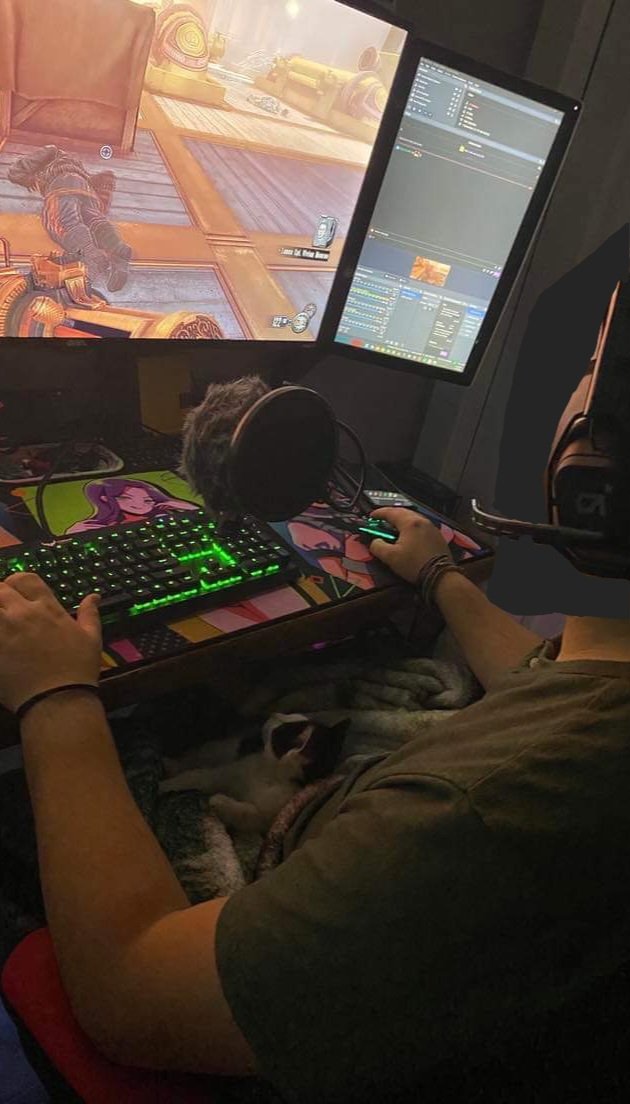 SpicySauceBoi's tweet photo. Kit seems to like streaming! Streaming Kitten!!! Hahaha making my way through the Bioshock series, just about wrapped up with Infinate and then onto Burial At Sea. (Kit is a kitten that I found in my run down garage. He's so playful and loving!) #kittengaming #twitchstreaming https://t.co/QEHSYM5B5w