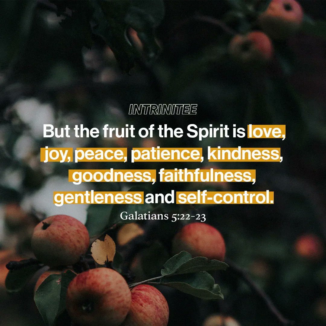 When we allow the Holy Spirit to work in us and through us, these qualities become evident in our attitude, actions, and relationships.

#faith #bethelight #christianlife #dailyverse #california #losangeles #bekind #faithbasedbusiness #faithandfashion #preach #youareloved