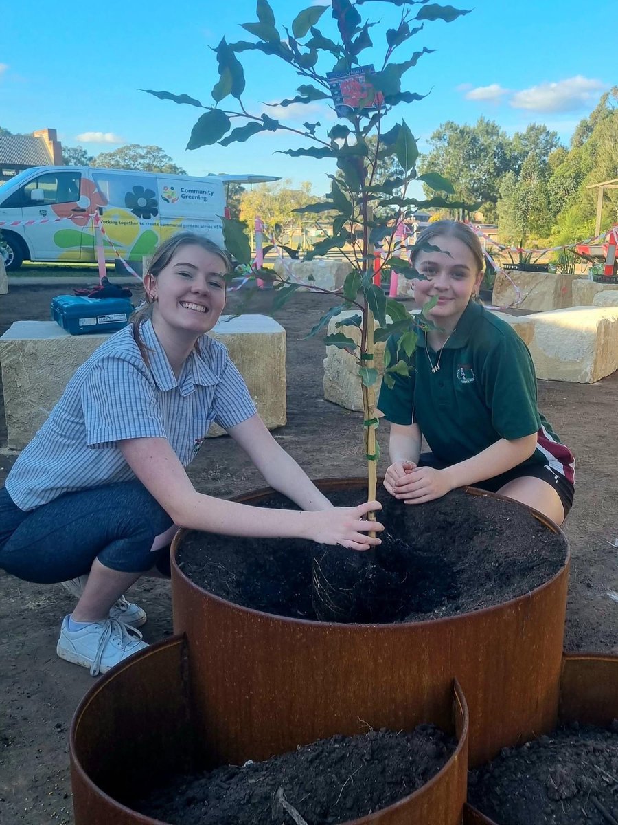 Our Year 12 Aboriginal Studies class have been working with the crew from the Royal Botanic Gardens to develop an exciting new space at MFHS. We can’t wait to see our completed Yarning Circle. @Dawe4Peter #NRW2023 #LoveWhereYouLearn