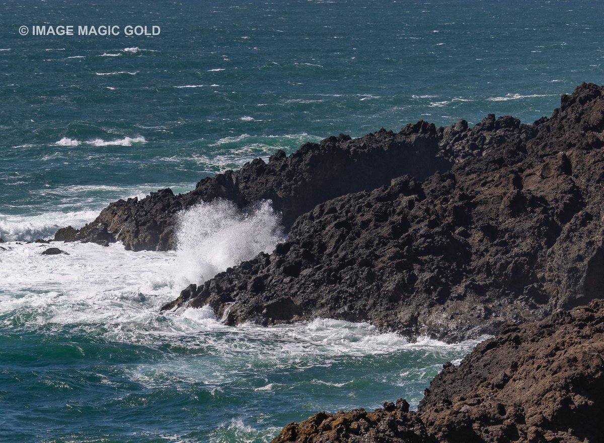 Capt. Cris tweet media