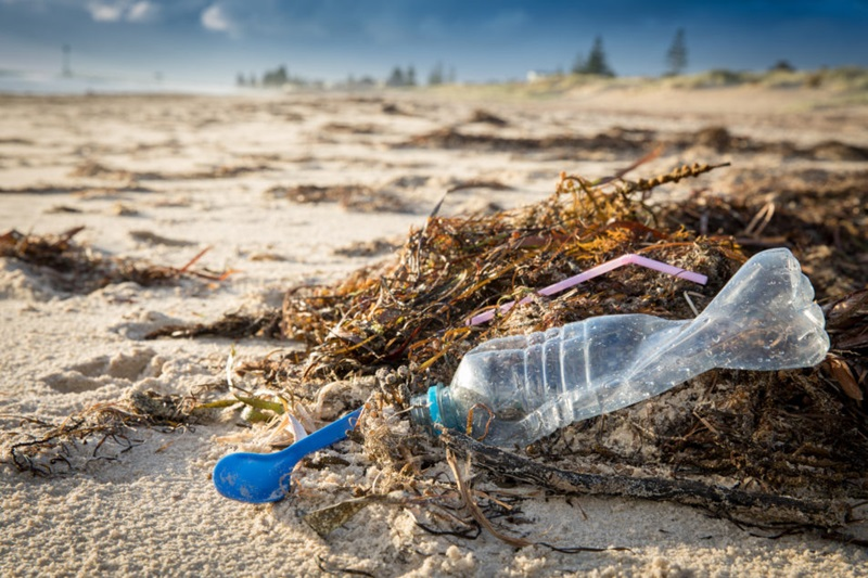 AusHCIndia's tweet photo. #Plastics pollution knows no borders! 🇦🇺&amp;🇮🇳researchers are working together to drive a #plastics circular economy. Our National Circular Economy Roadmap for Reducing Plastic Waste in 🇮🇳 will be finalised soon. #WorldOceansDay #SaveOurOcean https://t.co/eGcxnHfISz @CSIRO https://t.co/GUkIUujzOI