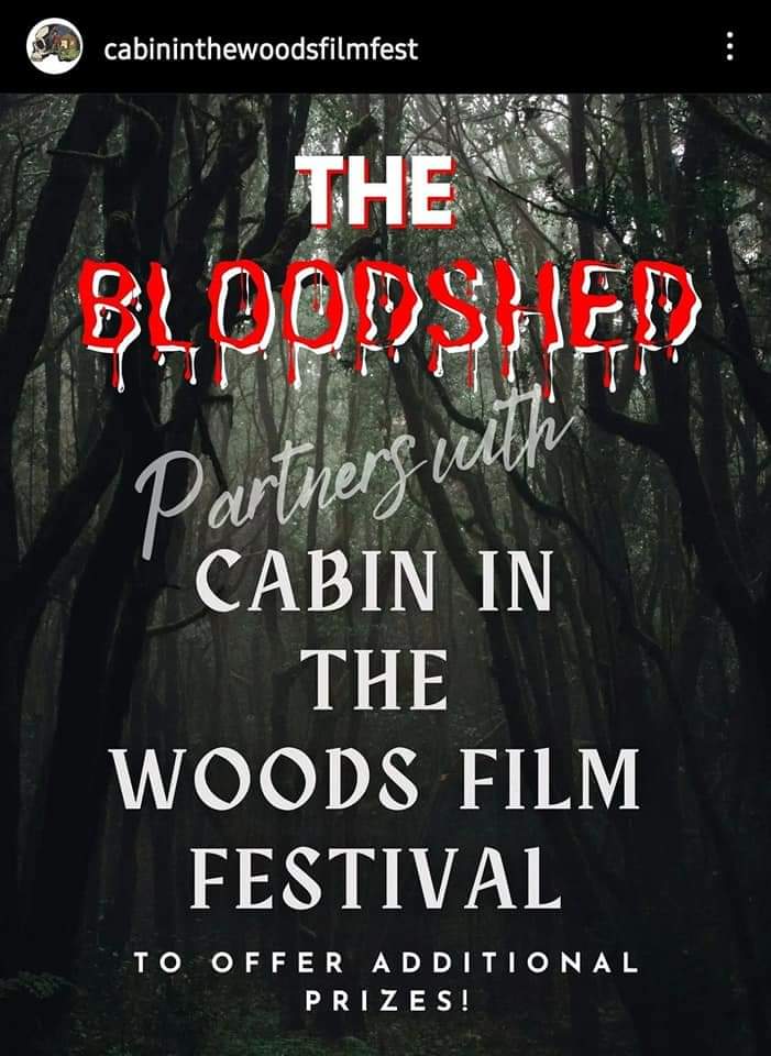 FromTheAuthor's tweet photo. @cabin_fest just announced... https://t.co/IE9YWkxhWL