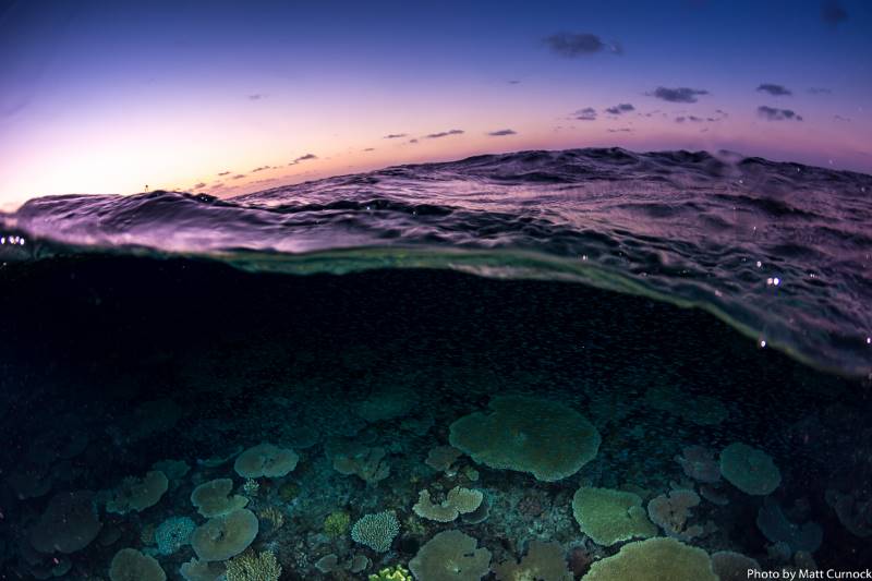 #OneOcean #OneClimate #OneFuture Global action on climate change is vital to the future of the #GreatBarrierReef, and actions from people everywhere can help protect our Reef and our ocean this #WorldOceansDay #LovetheReef