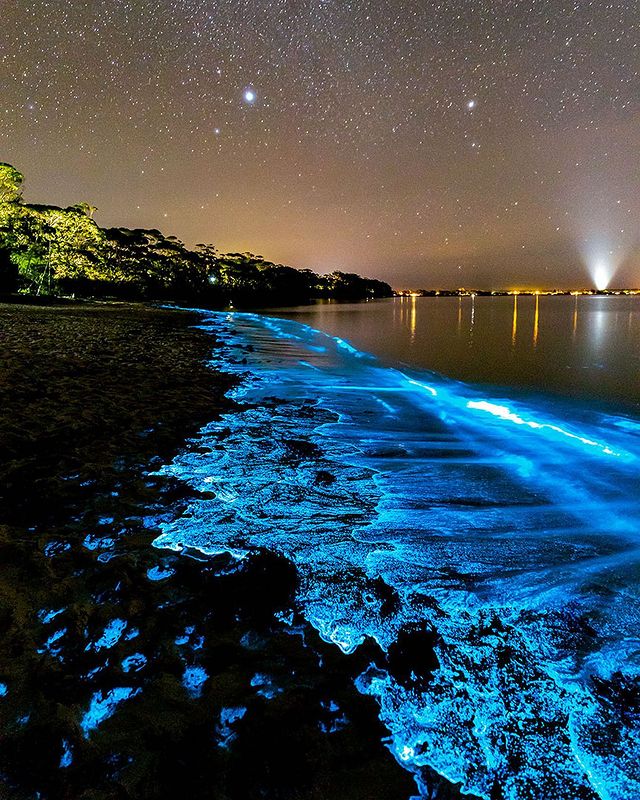 Bioluminescence Shore, Australia

📸 by: @jordan_robins [IG]

#australia #travel #beach #photography #dearJulius

See more at: travel.dearjulius.com

Follow: facebook.com/dearjulius
Follow: instagram.com/dearjulius.com…
Follow: x.com/dearjulius