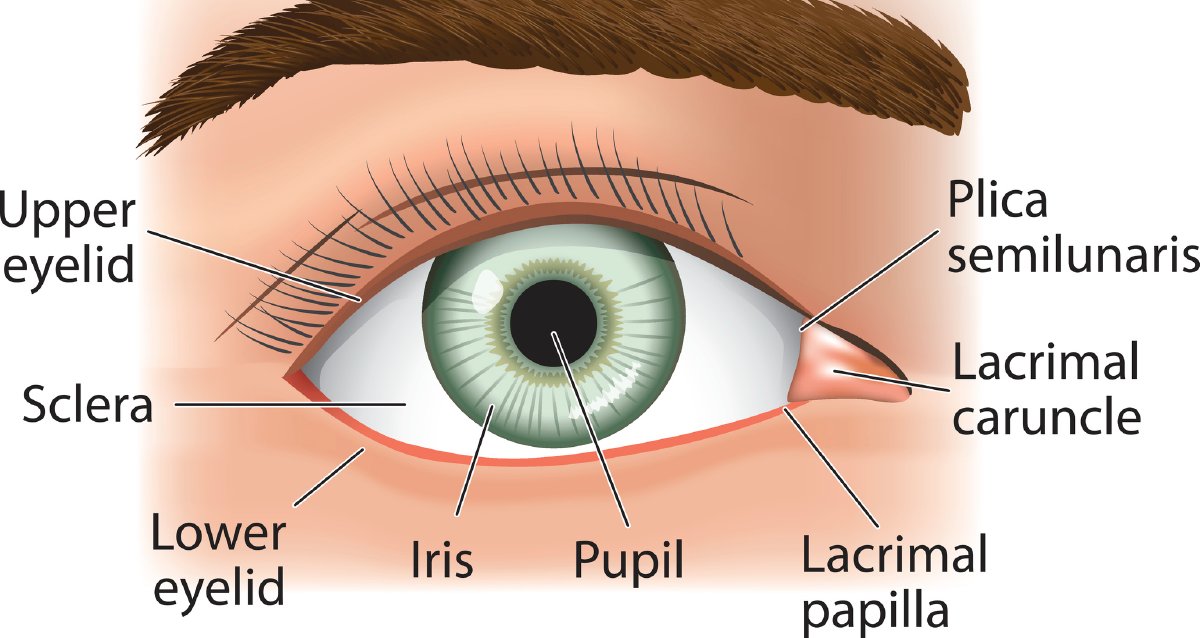How to tell if your eye care routine is doing more harm than good: wb.md/4627edh