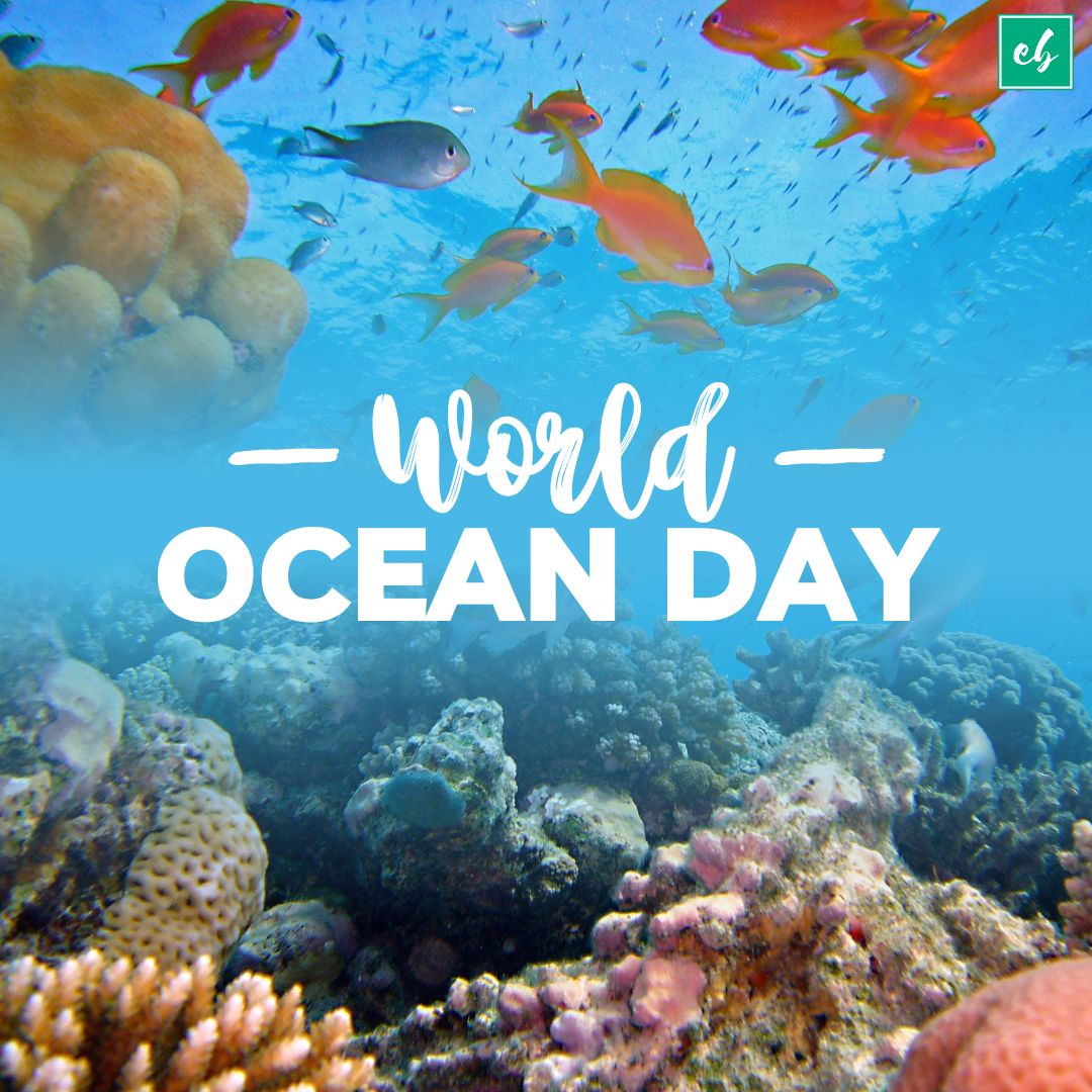 exambazaar.com tweet media