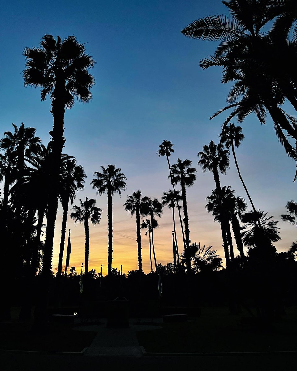 Nothing beats the classic view of palm trees in Pasadena. 📸 @puzzle_of_life_ #visitpasadena #pasadenaca #sunset #sunrise #silhouette #pasadena #palmtrees
