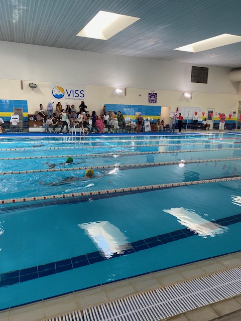 AIS_Sport's tweet photo. On Tuesday a group of girl students attended the EISSA Swim Gala. Our students performed well and we are very proud of them and how well they represented our school!🏊‍♀️⭐️

#AISSports https://t.co/ffGR9UH2E9