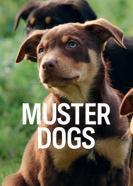 dapam's tweet image. Tarde, pero ya encontré mi nueva serie favorita del momento. 🐶 #MusterDogs