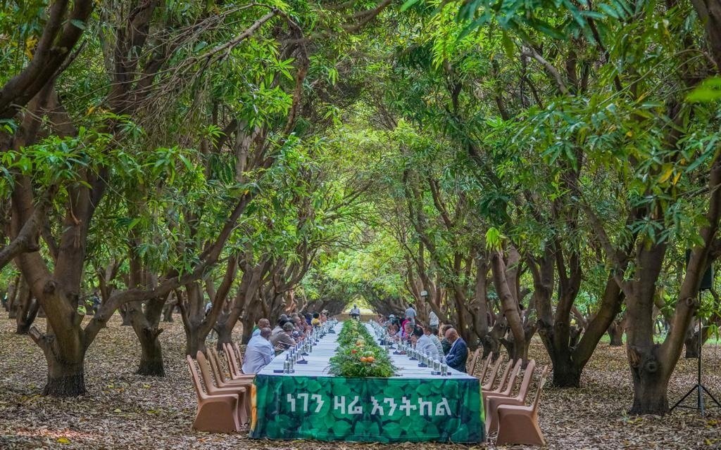 03Kolfe's tweet photo. On July 17, regardless of faith and culture, political affiliation, age and gender, education and living standards, we leave before sunrise to dress ETH with green and return to our homes after sunset. #GreenLegacy #Ethiopia @AbiyAhmedAli @Reuters https://t.co/abt1oL7O49