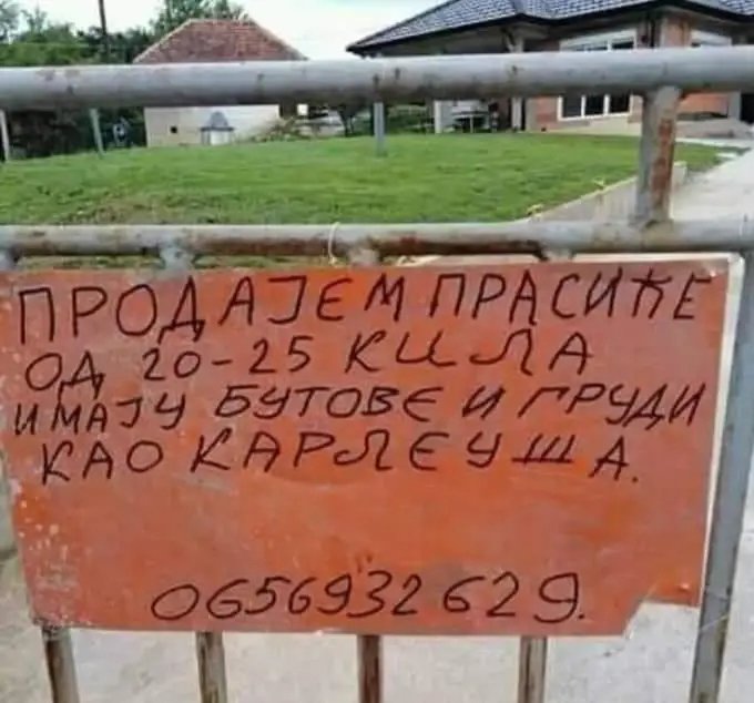 FyF-UnxXoAE5575?format=jpg&name=small