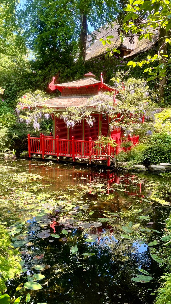 Japanese Garden, Compton Acres.

#comptonacres #japanesegarden #japanese  #poole #dorset #dorsetlife  #england #visitengland #uk  #photography #garden  #travelphotography  #landscape  #unitedkingdom #beautifuldestinations #europe