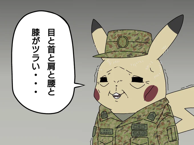 若い頃に肉体を酷使しすぎたしわ寄せが定年前に一挙に来るピカチュウ