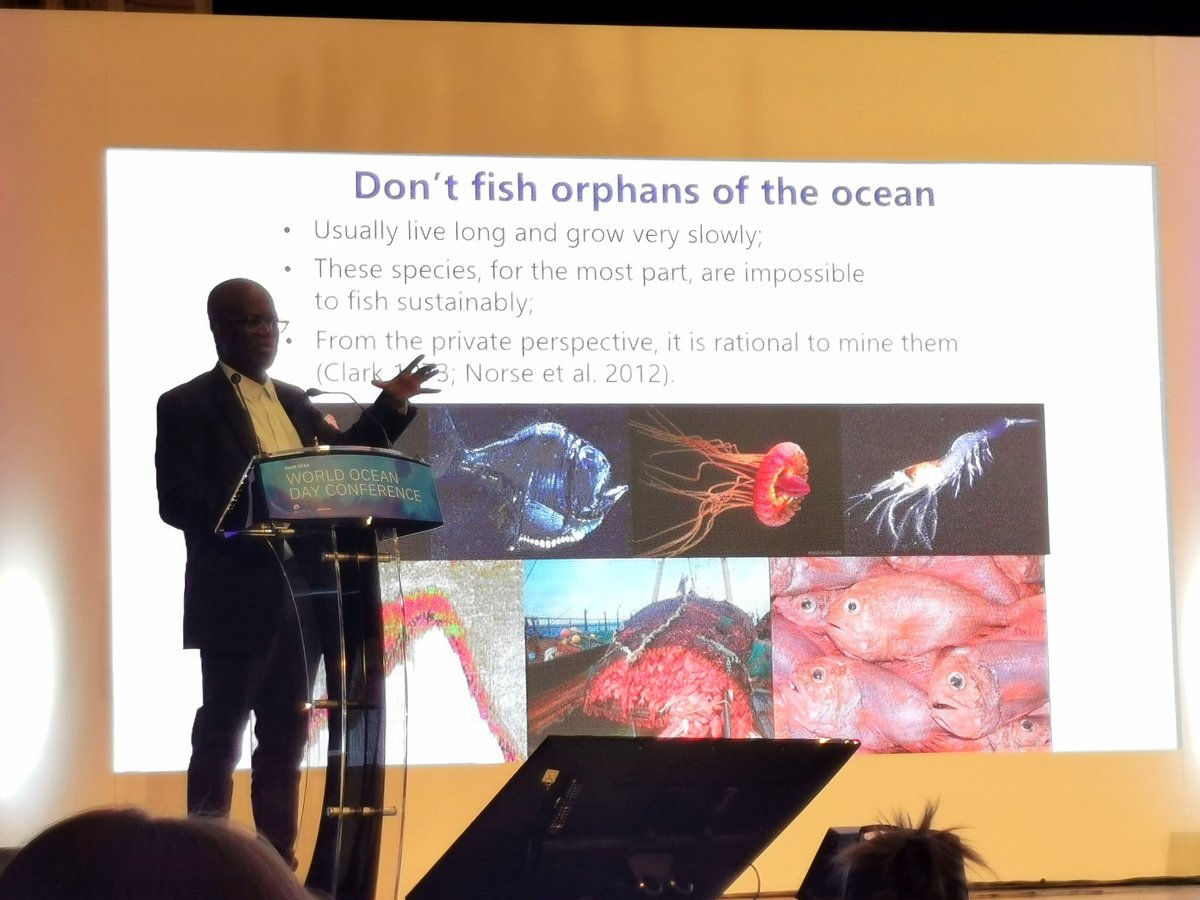 SustainblShores's tweet photo. Fantastic talk by @DrRashidSumaila rebuilding ocean resilience &amp; stocks with  "not everything, not everywhere and not all at once!" 

Robust MPAs, not paper parks - fish are more valuable than diamonds🐟💎 

#InfinityFish #FairSeas #WorldOceanDay #30x30 #IntergenerationalJustice https://t.co/vAhNTk0btb