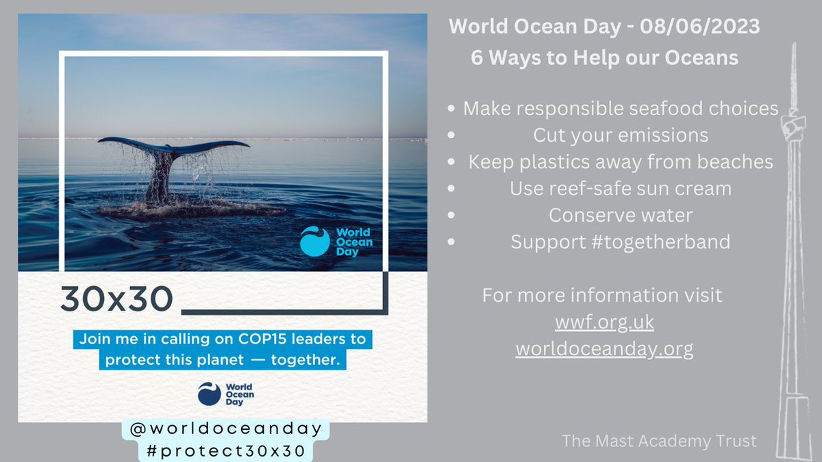 MastTrust's tweet photo. Today is World Ocean Day. Below are 6 ways you can help our Oceans #SustainabilityMatters #WorldOceanDay https://t.co/QTvmi6Atd3