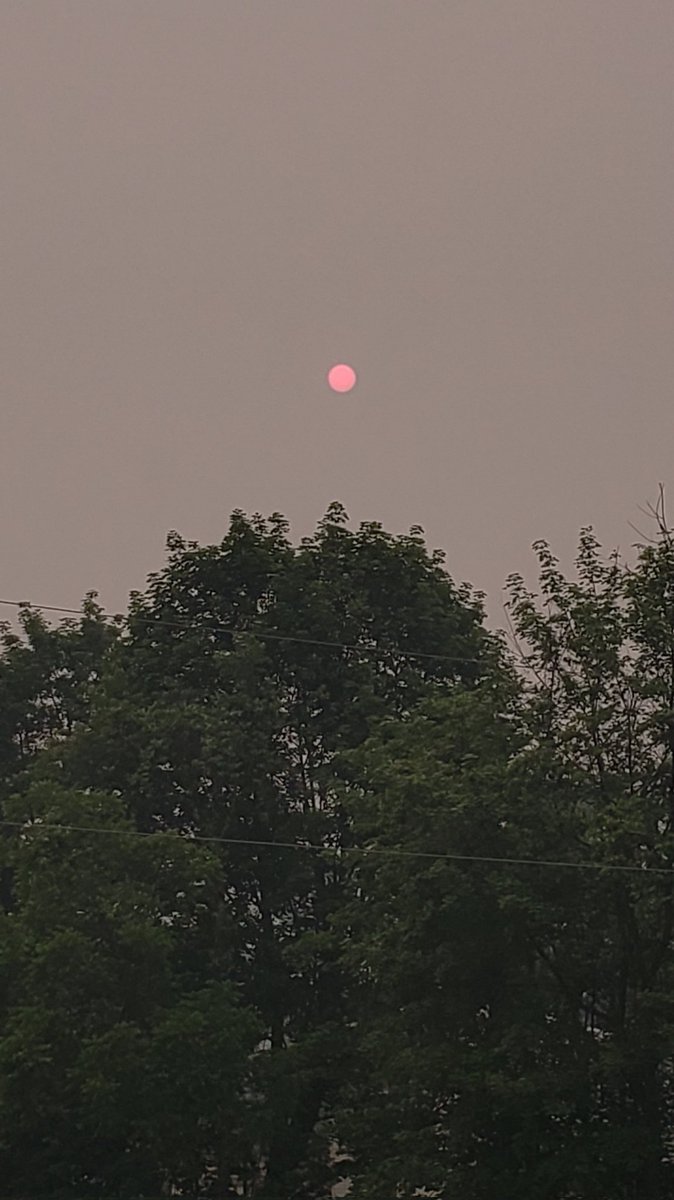 shhhhnana1994's tweet image. The sun was crazy looking yesterday 😱 #CanadianWildfires #pinksun #haze #nofilter