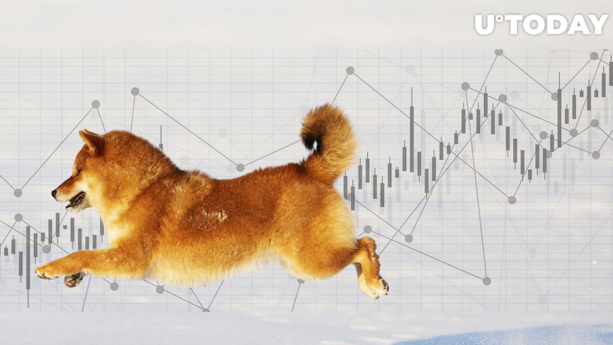 KryptoTensei's tweet photo. Get ready for the biggest Reversal on the memefi scene‼️🔥🐕🚀🌑 $INU
@The_real_inu https://t.co/D4XfOY1otU
