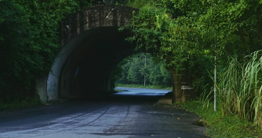 yusheetal's tweet photo. @Yaacov97531 roads and nature https://t.co/oAAwWjEicI