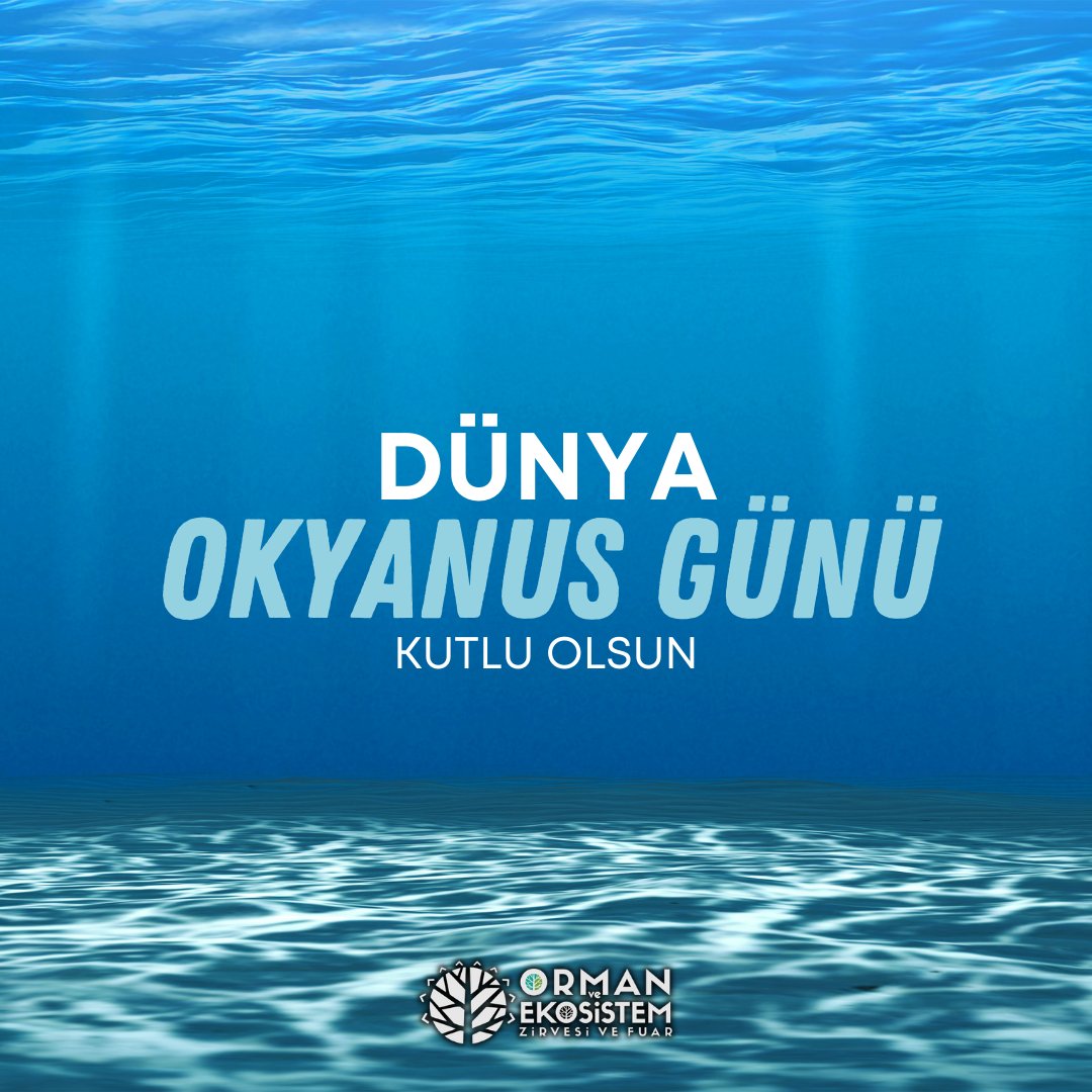 💙 Dünya Okyanus Günü Kutlu Olsun 🌊

#OkyanusGünü #DünyaOkyanusGünü #dünyaokyanusgünü #ormanekosistem