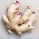 思わず作ってみたくなっちゃうくらい、とっても美味しそう!新生姜を使った「炊き込みご飯」のレシピ!