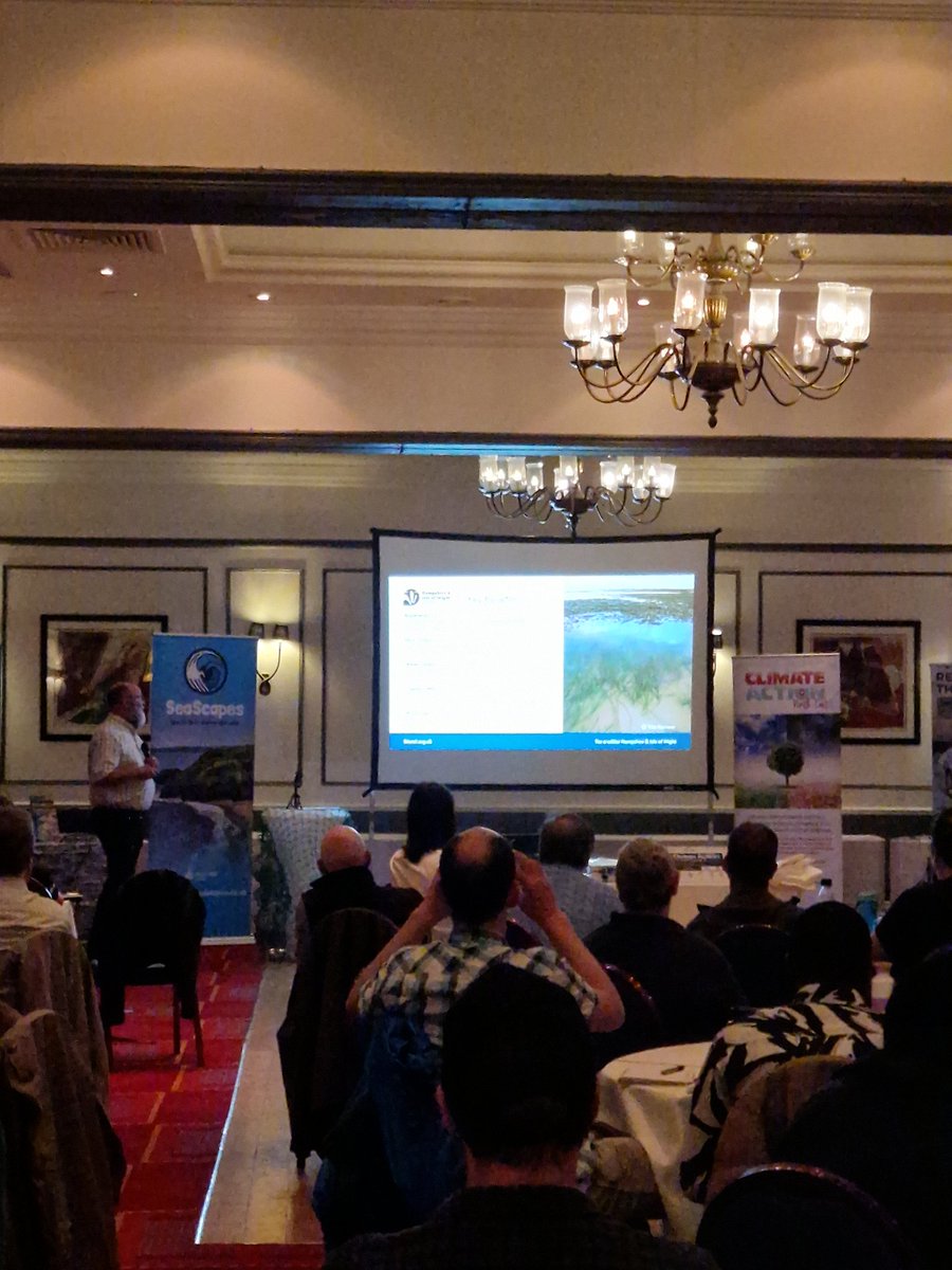 ClimateActionNE's tweet photo. Next up is Dr Tim Ferrero of @HantsIWWildlife and an excellent talk about #solentseagrass #seagrass - super interesting and exciting work and such #positivehope for #worldoceansday #oceanaction 🌊💙🌱 https://t.co/ExuYDmmv36