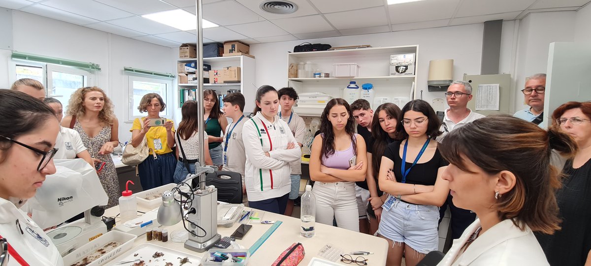 Institut Rocagrossa tweet media