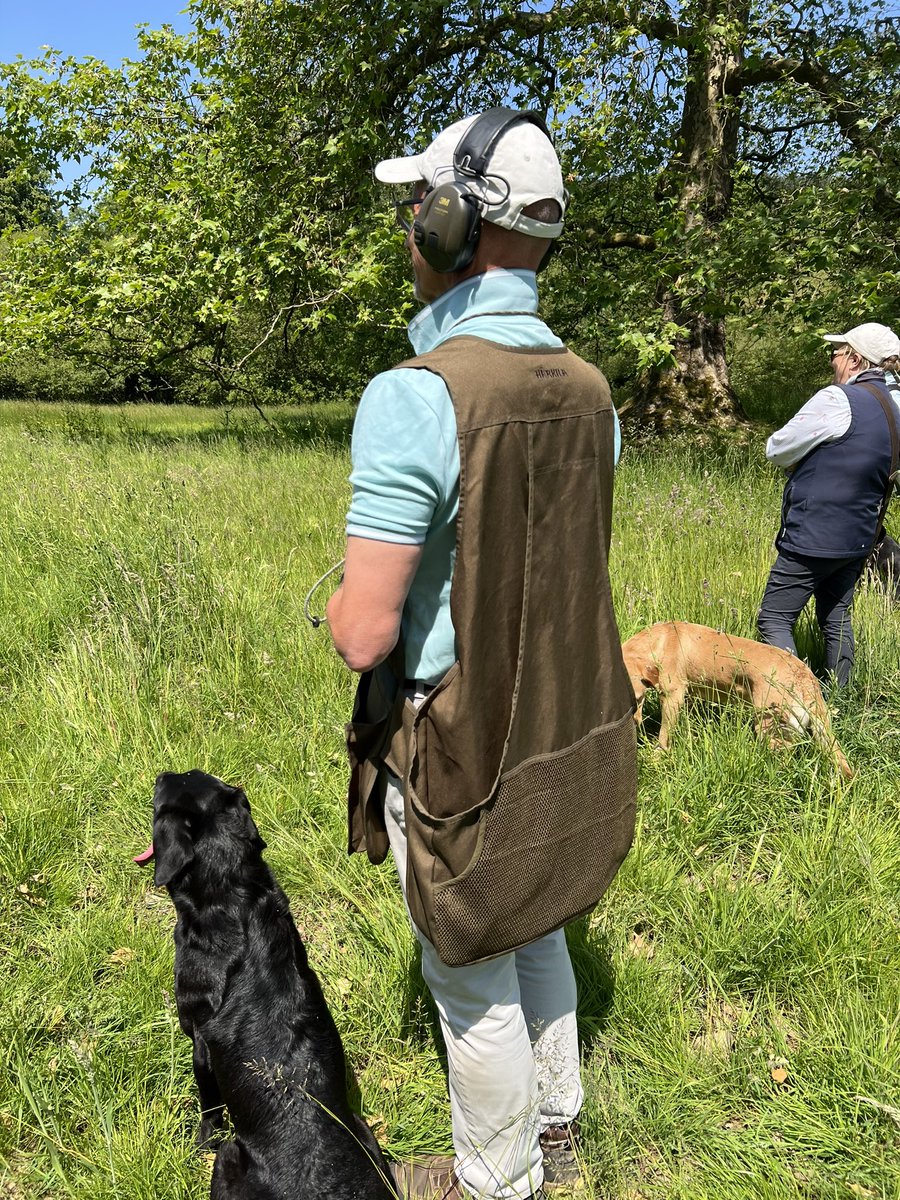 GundogsJason's tweet photo. Taking a group out on simulated walked up shooting #gundogtraining
@CowdrayEstate
@Skinnersdogfood https://t.co/M5UR0tt3gz