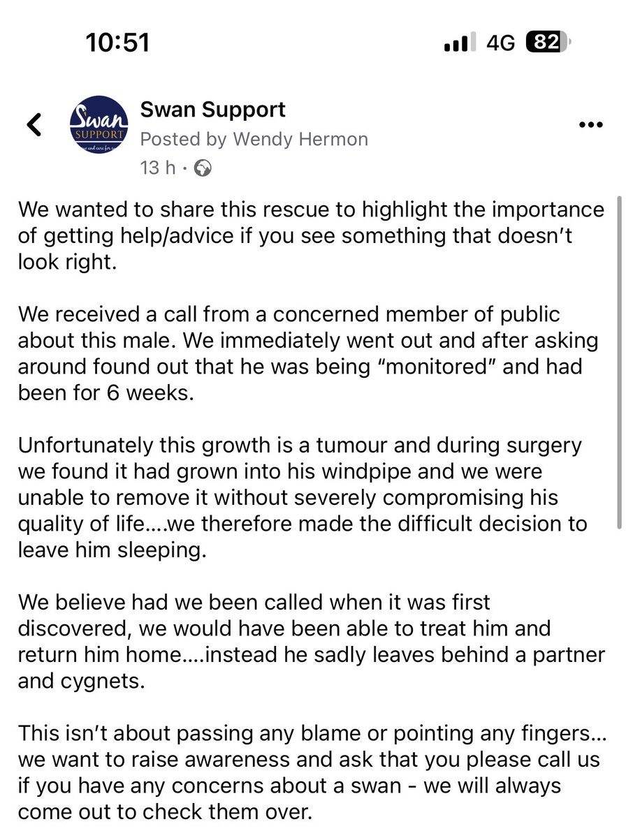 SwanSupport tweet media