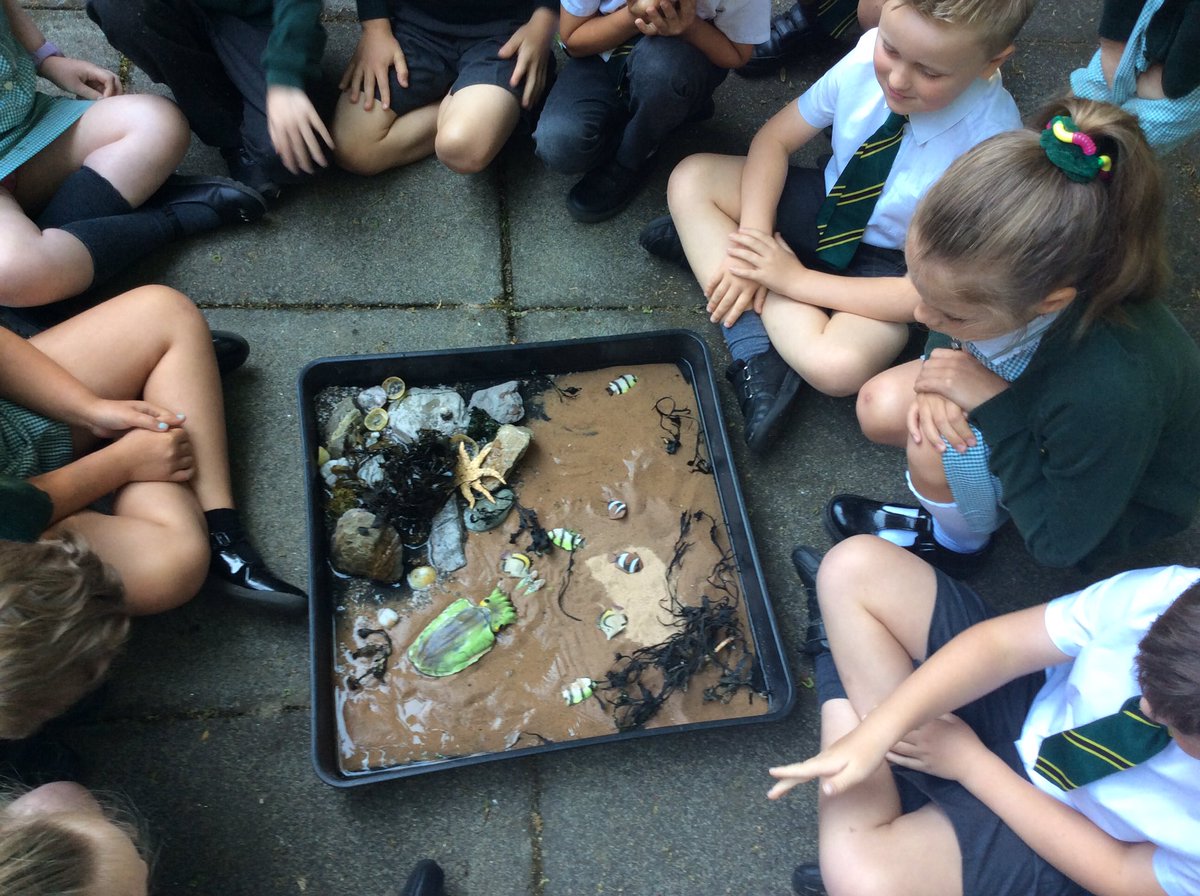 wideyseahorse's tweet photo. We have been busy learning about the Seashore Code this morning. @wideyshark @wideyseal https://t.co/mJab10Ijma
