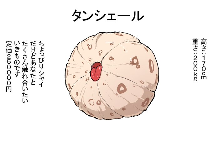 (R18)タンシェール 