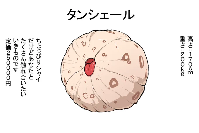 (R18)タンシェール 