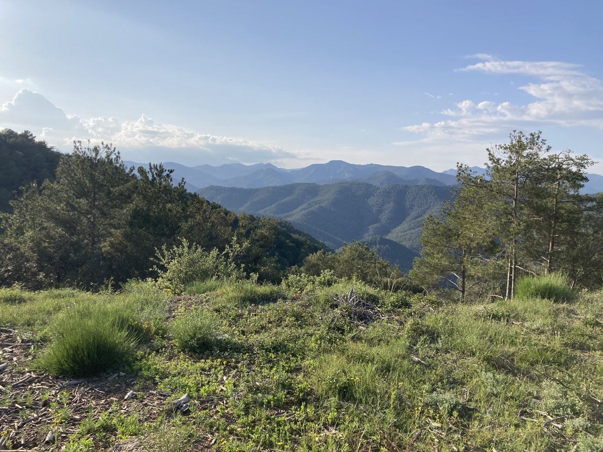 fundacioemys's tweet image. 🏡Aquesta preciosa finca, de 240 hectàrees, situada a cavall entre #Albanyà i Cabanelles, limita amb el riu la #Muga.

🌳 A la finca hi trobem zones forestals, zones humides, #prats i espais agrícoles, formats per espais d'interès comunitari com #alzinars i #rius alpins.
