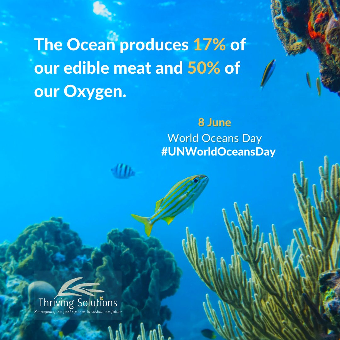 Thriving Solutions is dedicated to decarbonizing our economy, safeguarding biodiversity, advancing food-nutrition-water security.
#UNWorldOceansDay #RevitalizeTheOcean United Nations